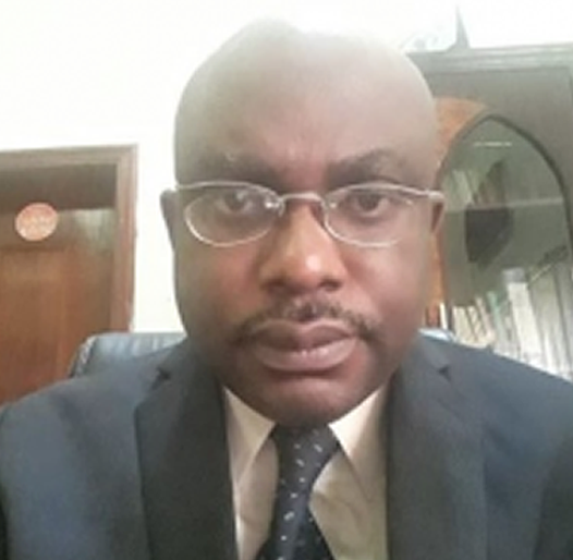 PROFESSOR IWEALA, Emeka Eze Joshua